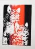 "Zwei Katzen" by Hans Binz on art24