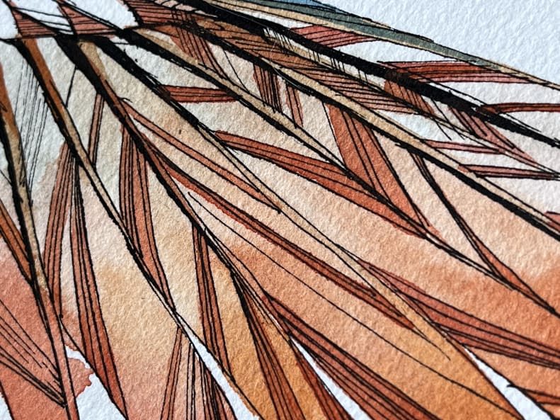 Photo 1 de l'œuvre "house sparrow wing" par Rémy Sant sur art24