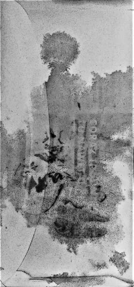 Foto 1 des Kunstwerks "Ausgeworfen, gerettet" von Renata Srebro auf art24