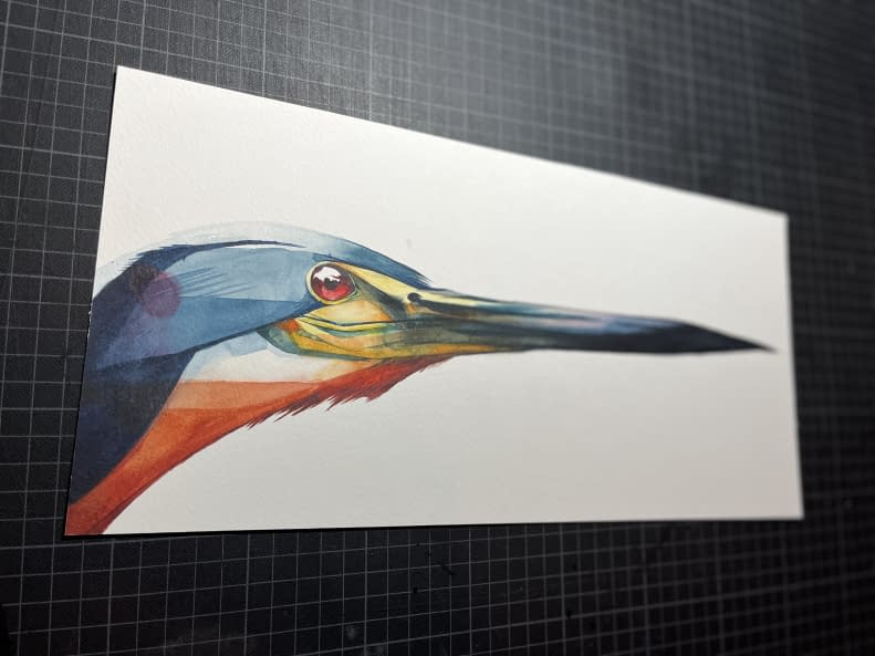 Photo 1 de l'œuvre "agami heron side" par Rémy Sant sur art24