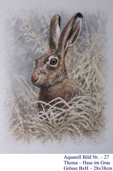 Image 1 of the artwork "27. Hase im Gras" by Hans Jakob on art24
