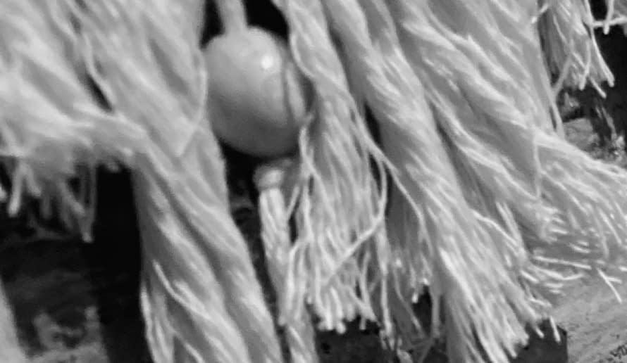 Photo 1 de l'œuvre "Makramee-Hairday" par Artelephant sur art24
