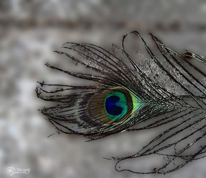 Image 1 of the artwork "KoloR" by JOHNNY on art24