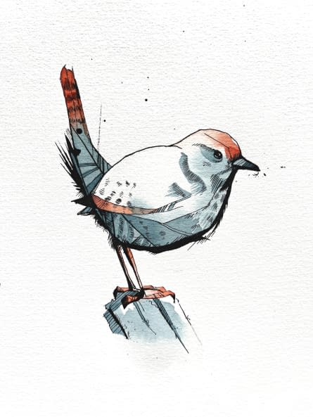 Photo 1 de l'œuvre "Eurasian Wren 1" par Rémy Sant sur art24