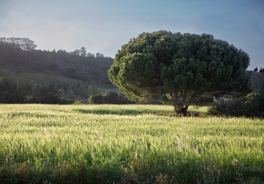 Photo 1 de l'œuvre "Serenity" par Christoffer Evers sur art24