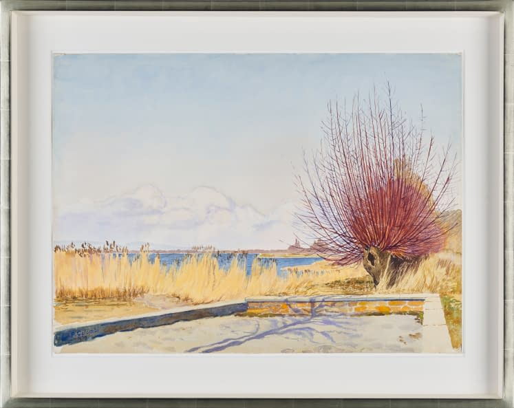 Image 1 of the artwork "Am See" by Plinio Colombi on art24