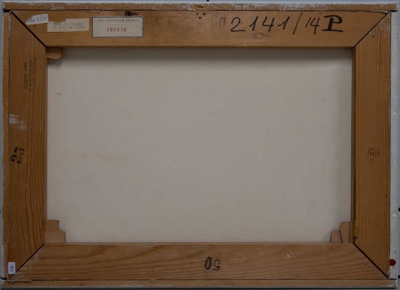 Image 1 of the artwork "Unter den Bergen" by Jan Sklenar on art24