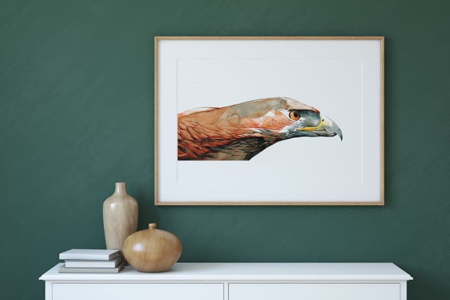 Foto 1 des Kunstwerks "Ferruginous hawk side" von Rémy Sant auf art24