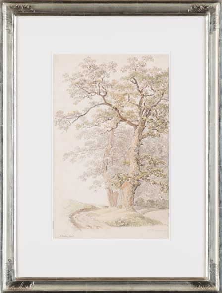Photo 1 de l'œuvre "Alter Baum" par Heinrich Rieter sur art24