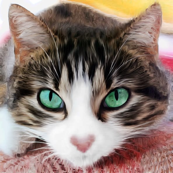 Foto 1 des Kunstwerks "Katze VI" von Joe Amberg auf art24