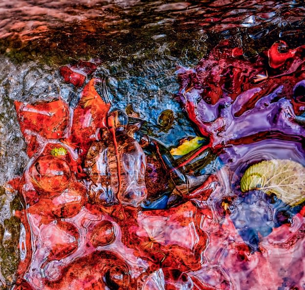 Image 1 of the artwork "Vestiges glacés de l'automne" by Sylvain Blanchoud on art24