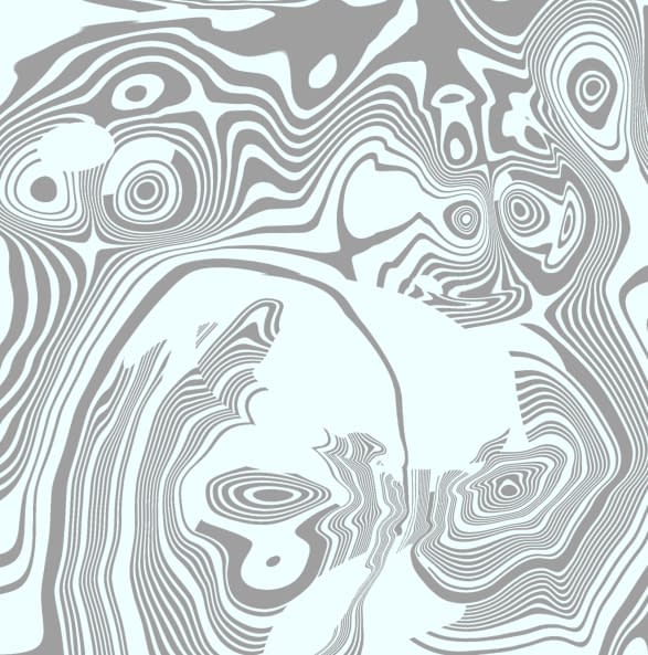 Foto 1 des Kunstwerks "Circle of life" von JP auf art24