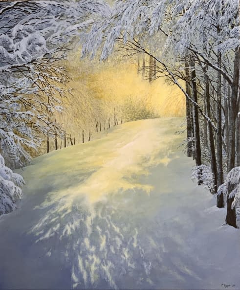 Photo 1 de l'œuvre "Percée lumineuse" par Patrick Egger sur art24