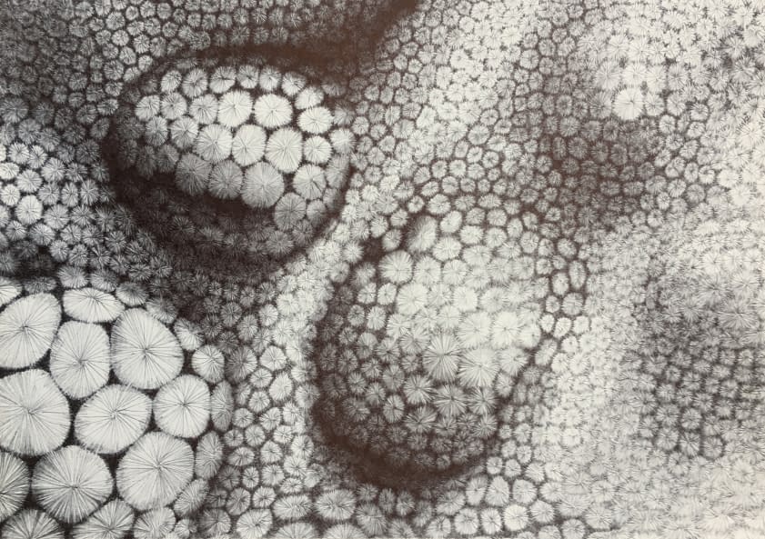 Image 1 of the artwork "Faszinierende Welten" by Thomas van der Heide on art24