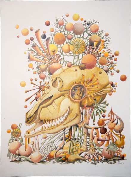 Image 1 of the artwork "Parfois silures et blattes s'interrogent / Fleur de crâne" by Jean Noël Delalande on art24