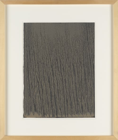 Foto 1 des Kunstwerks "Ohne Titel" von Richard Long auf art24