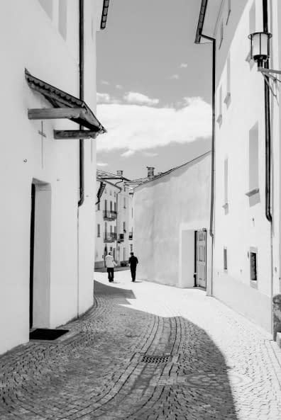 Foto 1 des Kunstwerks "Deux amis , Poschiavo , Grisons , Suisse" von Sylvain Blanchoud auf art24