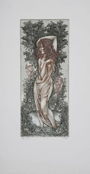 Image 1 of the artwork "zuzana a dva slavci (Zuzana und die beiden Nachtigalle) 27/80" by Petr Melan on art24