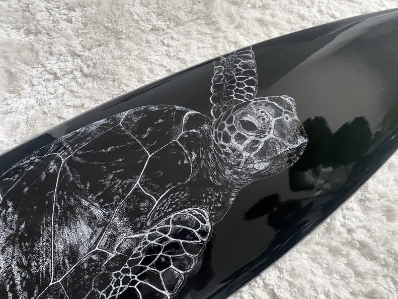 Image 1 of the artwork "Turtle" by Karin Studer on art24