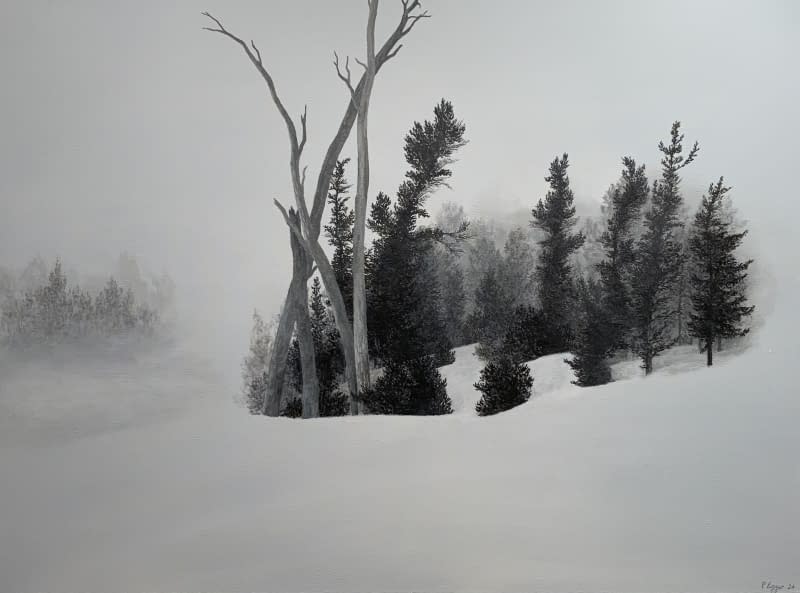 Image 1 of the artwork "Blizzard" by Patrick Egger on art24