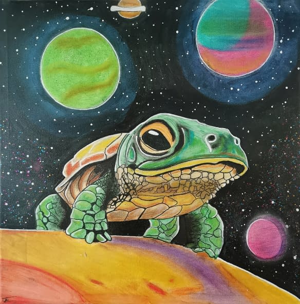 Photo 1 de l'œuvre "Schildkröte im Weltall" par Köhler sur art24
