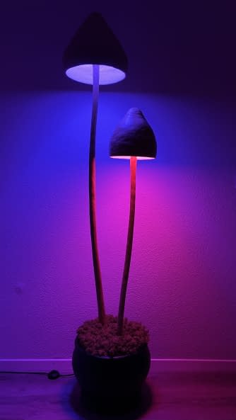 Photo 1 de l'œuvre "Shroom Lamp" par jkbmlck sur art24