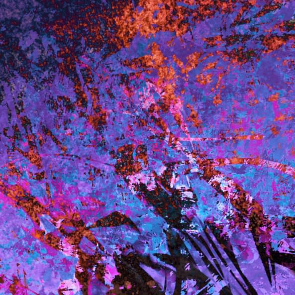 Foto 1 des Kunstwerks "Fullcolor 6" von Nicolas Wintsch auf art24