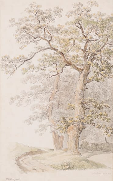 Photo 1 de l'œuvre "Alter Baum" par Heinrich Rieter sur art24