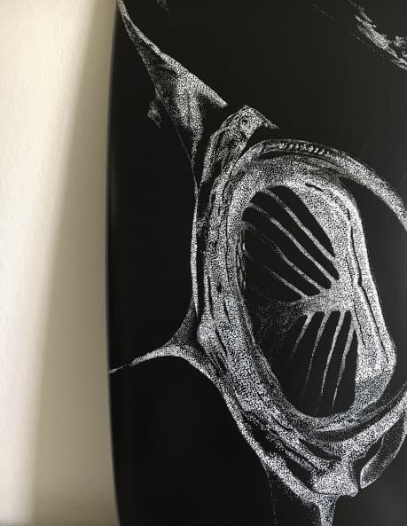 Image 1 of the artwork "Manta" by Karin Studer on art24
