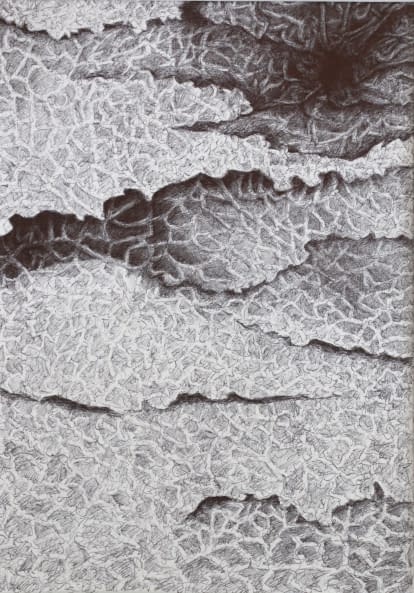 Image 1 of the artwork "Faszinierende Welten" by Thomas van der Heide on art24