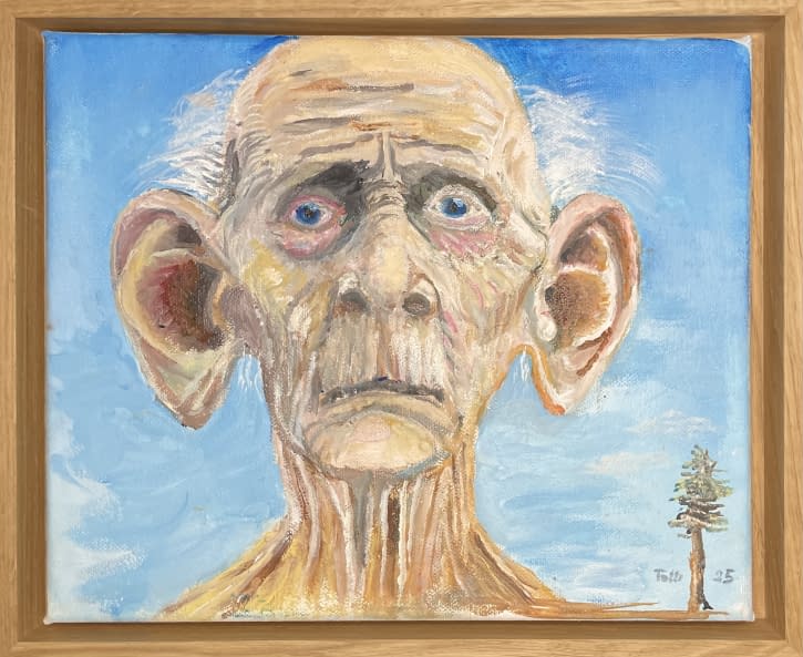 Image 1 of the artwork "3200 Year Old Man" by S. Konstantin Toth on art24