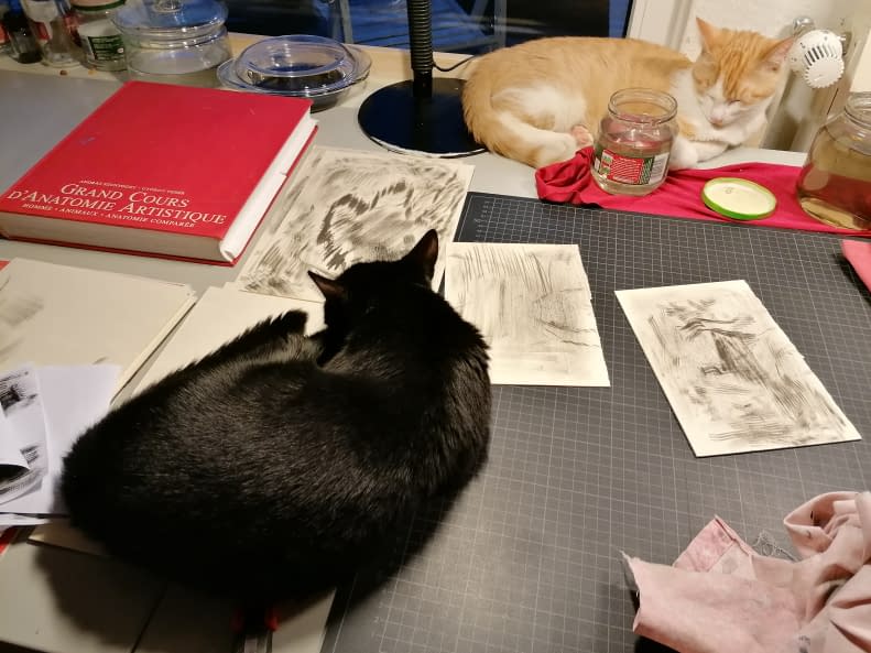 Photo 1 de l'œuvre "16 Cat Butts" par Rémy Sant sur art24
