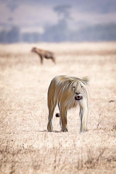 Foto 1 des Kunstwerks "Fluffy Animals" von Thomas Haensgen auf art24