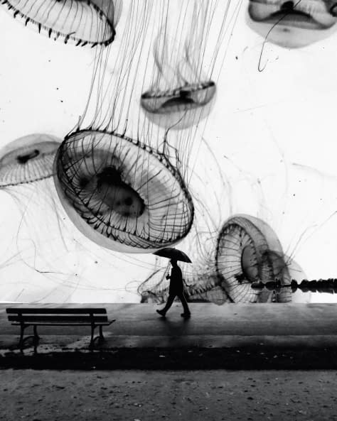 Foto 1 des Kunstwerks "Loner in the Jellyverse (Part 2)" von Merge Visible auf art24