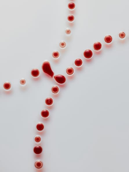 Photo 1 de l'œuvre "Tryptique GENESIS" par Alex Annen sur art24