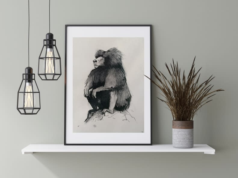 Photo 1 de l'œuvre "Pavian 1" par Rémy Sant sur art24