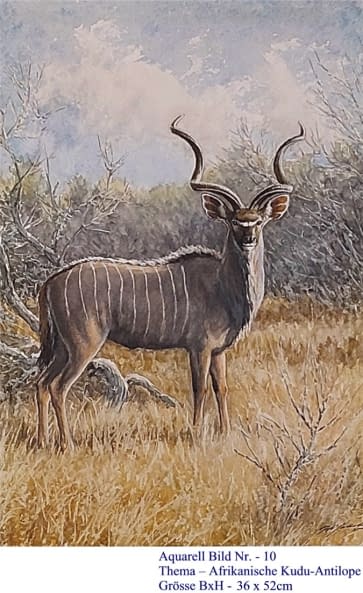 Image 1 of the artwork "10. Kudu Antilope aus Afrika" by Hans Jakob on art24