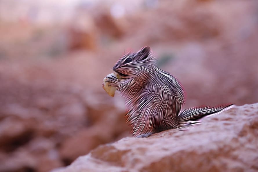 Photo 1 de l'œuvre "Fluffy Animals" par Thomas Haensgen sur art24