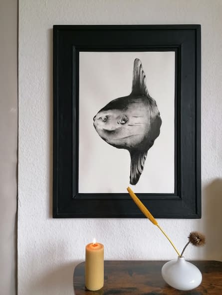 Photo 1 de l'œuvre "Molamola" par Rémy Sant sur art24