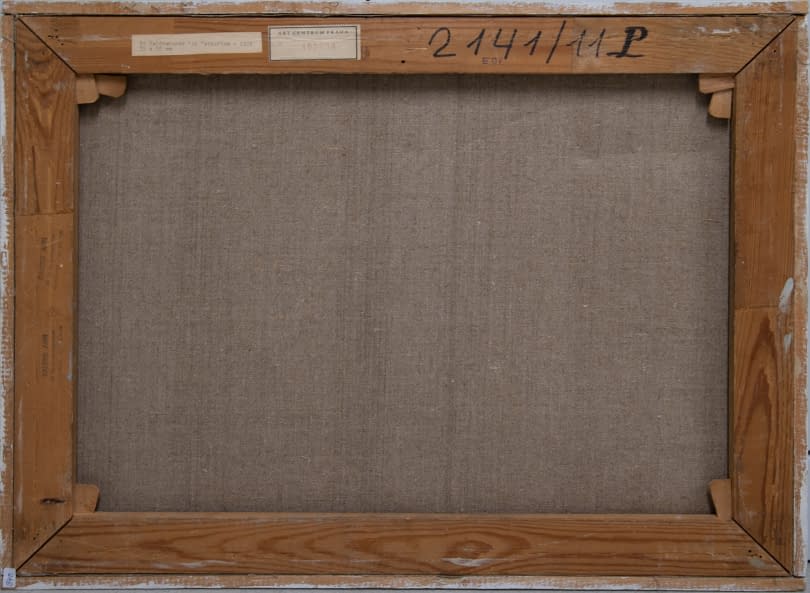 Image 1 of the artwork "Am Waldesrande bei Netvořice" by Jan Sklenar on art24