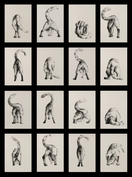 Photo 1 de l'œuvre "16 Cat Butts" par Rémy Sant sur art24
