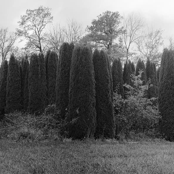Photo 1 de l'œuvre "Durch die Landschaft 22_08" par Nico Kurzen sur art24