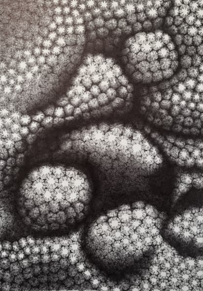 Image 1 of the artwork "Faszinierende Welten" by Thomas van der Heide on art24