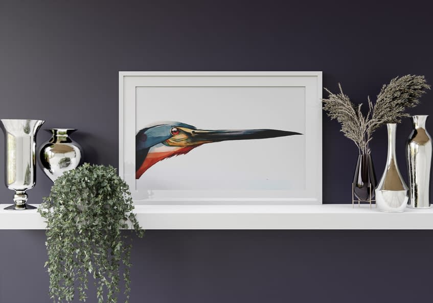Photo 1 de l'œuvre "agami heron side" par Rémy Sant sur art24