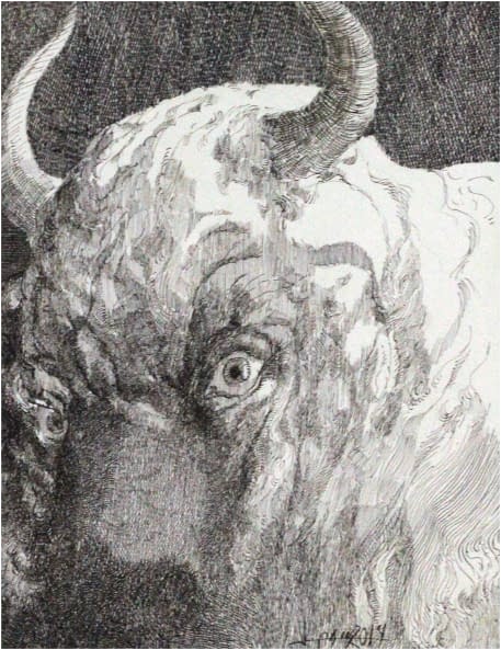Image 1 of the artwork "Stier mit Fokus aufs Auge" by Jesús Nodarse Valdés on art24