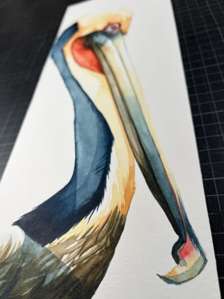 Photo 1 de l'œuvre "Brown pelican side" par Rémy Sant sur art24