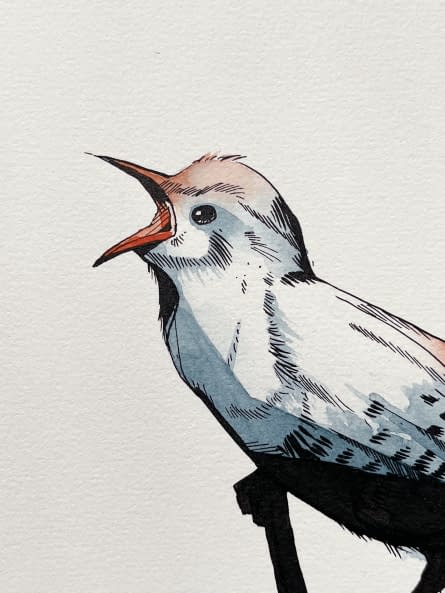 Photo 1 de l'œuvre "Eurasian Wren 4" par Rémy Sant sur art24