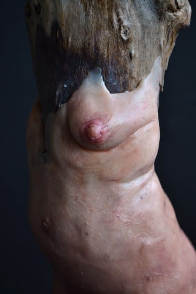Image 1 of the artwork "From the inside" by Polina Verbytska on art24