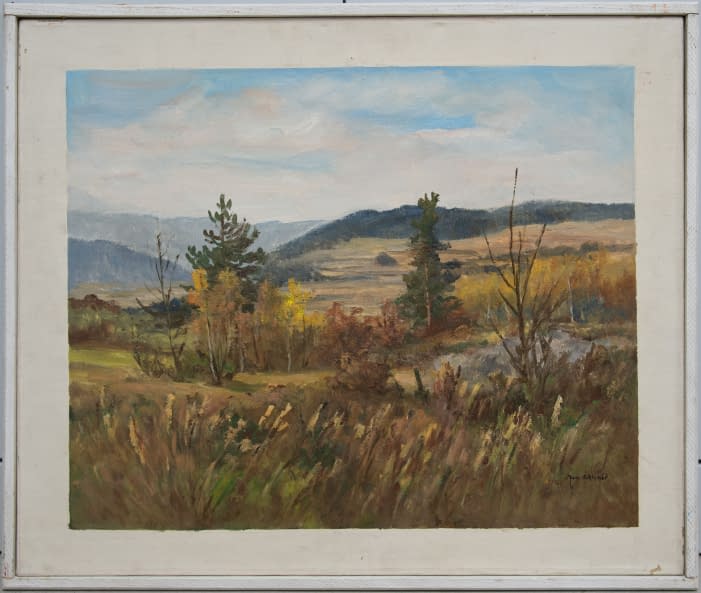 Image 1 of the artwork "Landschaft bei Netvořice" by Jan Sklenar on art24