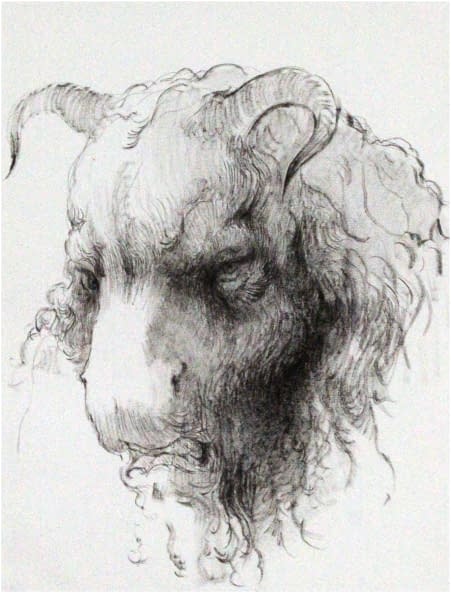 Image 1 of the artwork "Stier" by Jesús Nodarse Valdés on art24